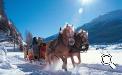 Una gita romantica  in carrozza trainata dai cavalli